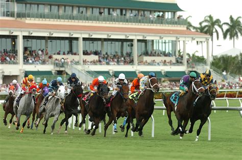 Welcome to <b>Equibase. . Gulfstream park results